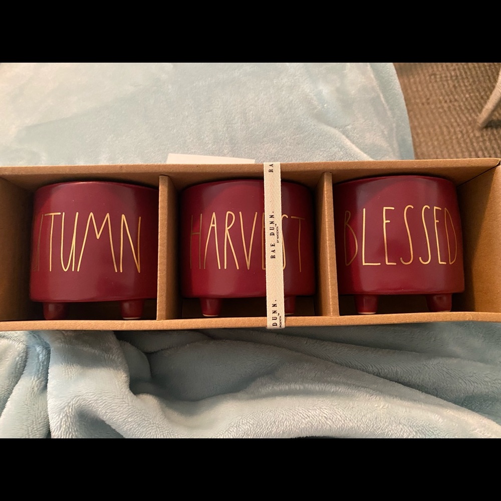 Rae Dunn set of 3 planters